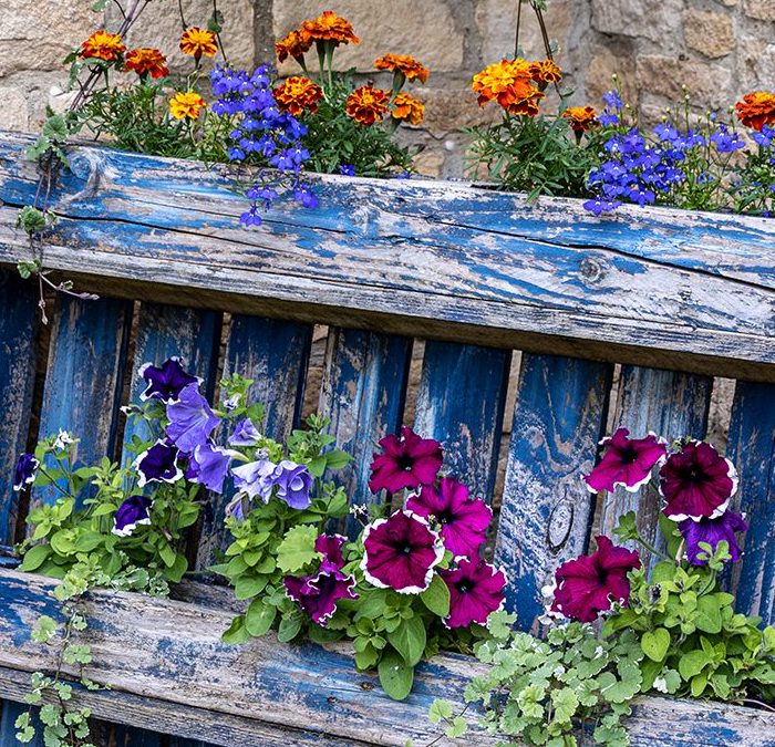 HIDDEN GARDENS OF FROME