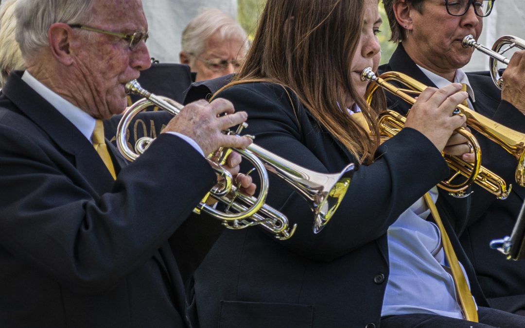 FROME TOWN BAND AT THE BLUE HOUSE